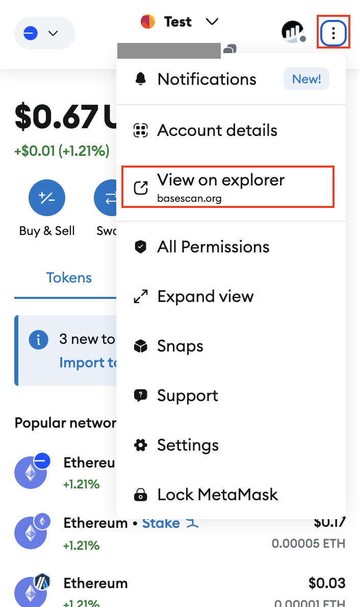 MetaMask Explorer