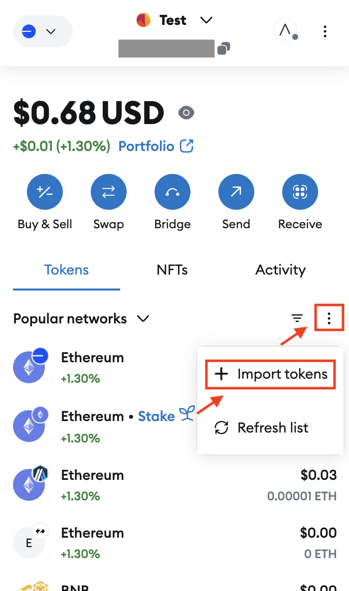 MetaMask Import Token